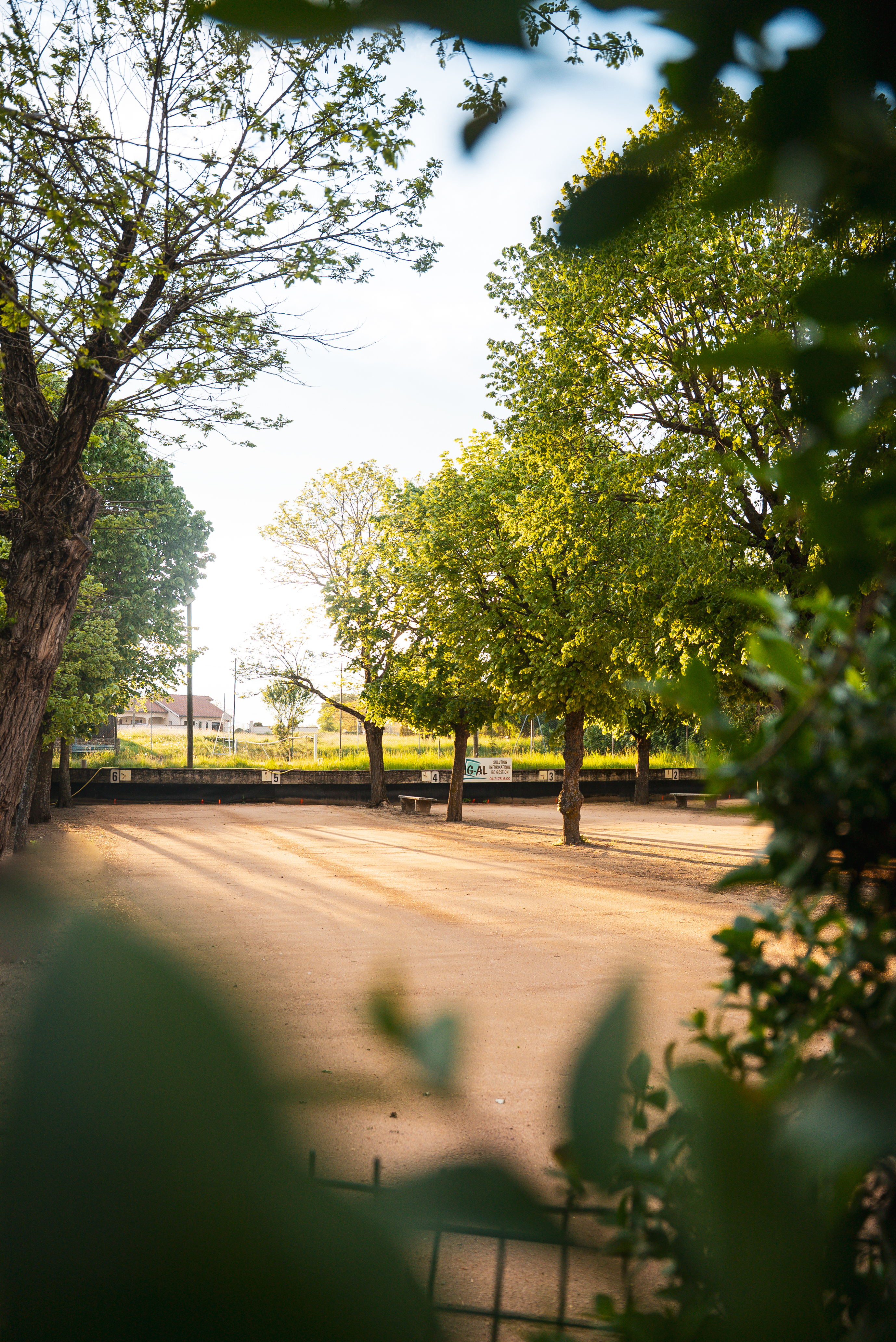 Terrain de pétanque ombragé