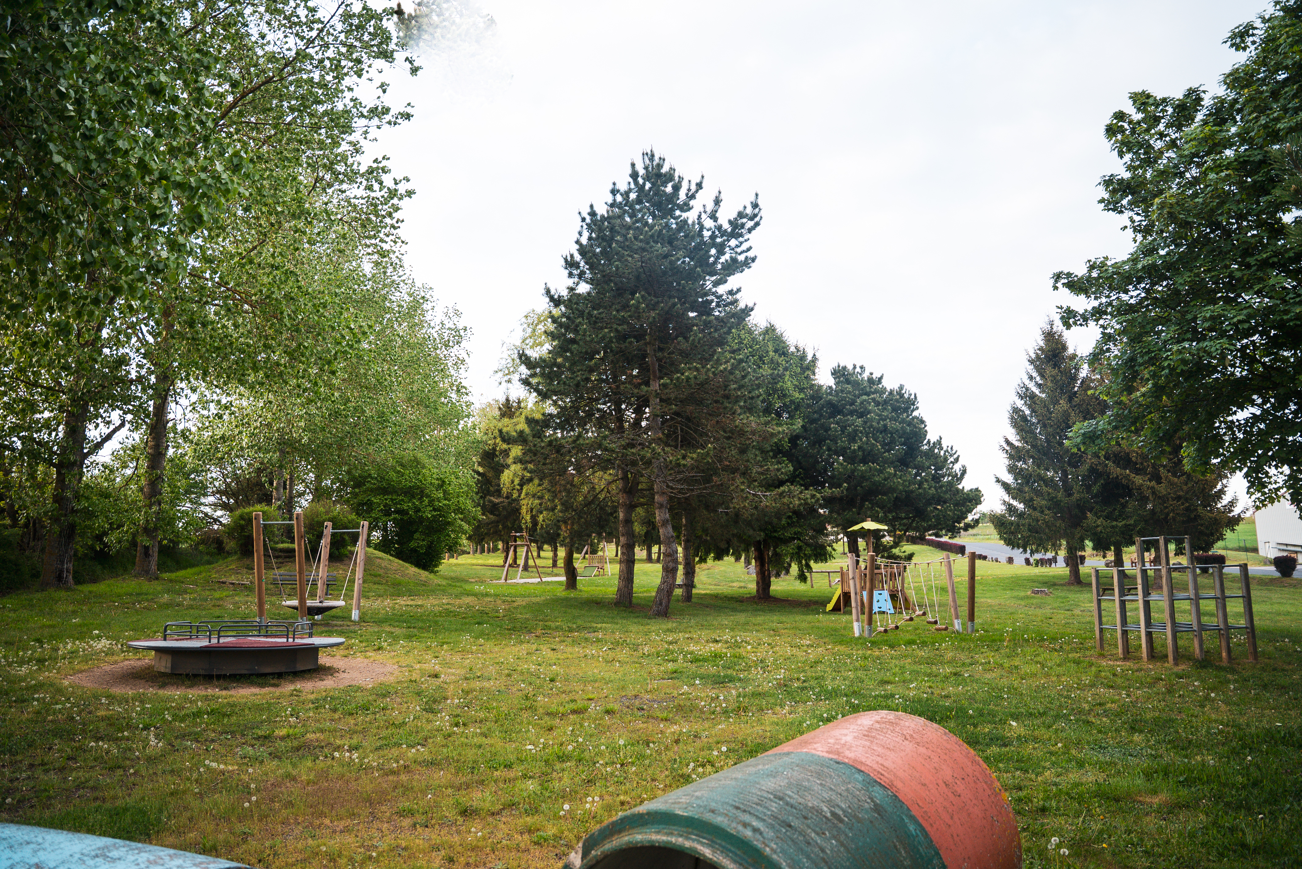 Balançoire nid dans le parc